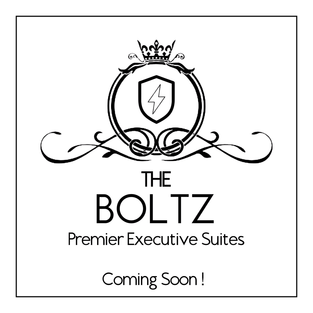 TheBoltz.com logo